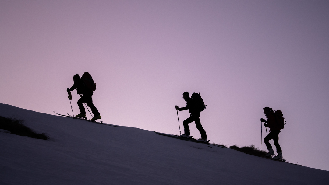 Touring Skis