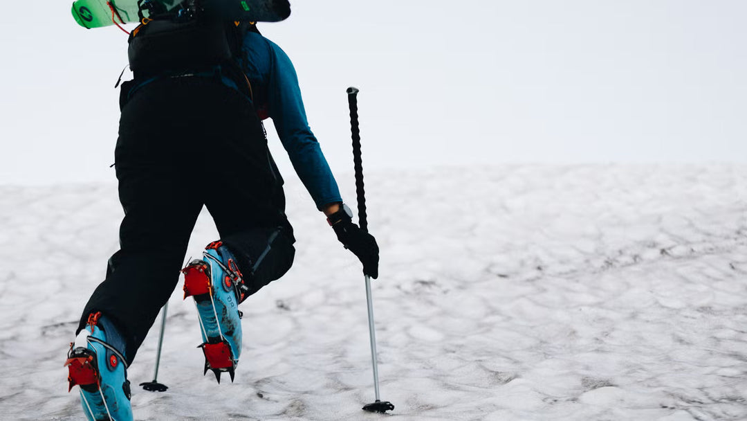 Backcountry - Poles