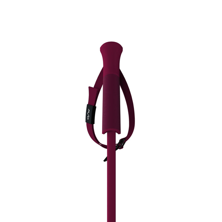 One Way GTX Ski Poles - 2026 SKI POLES One Way