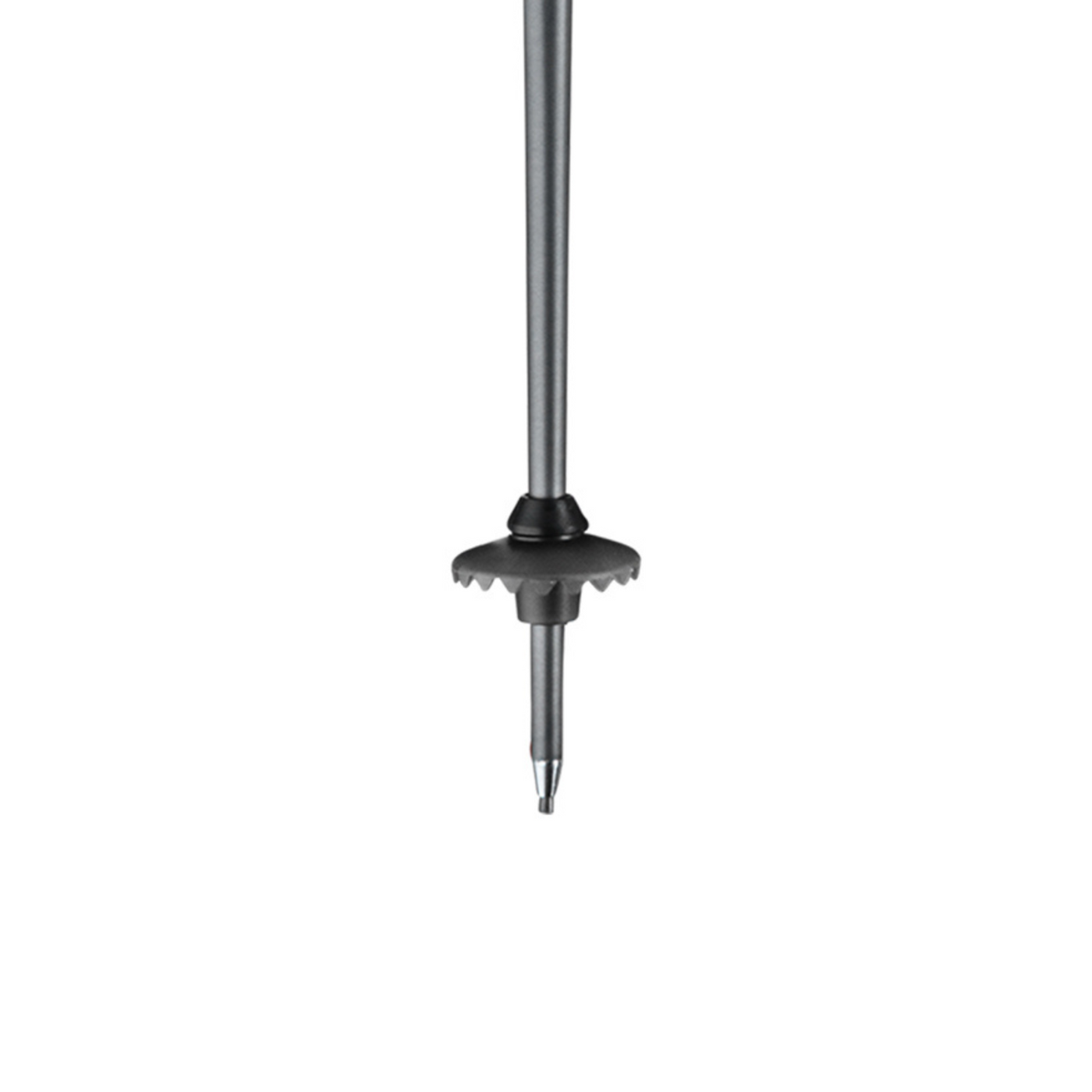 Leki NEOLITE Airfoil Women's Ski Poles 2025 SKI POLES Leki   