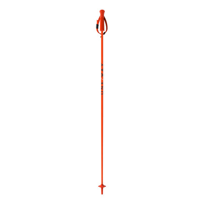 One Way GTX Ski Poles SKI POLES One Way   