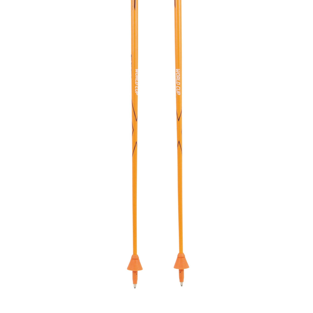 Exel SL Poles and Gate Guard SKI POLES Exel