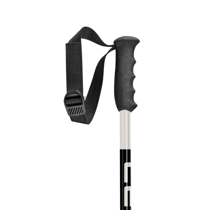 Leki SWTCH Pow Ski Poles 2025 SKI POLES Leki